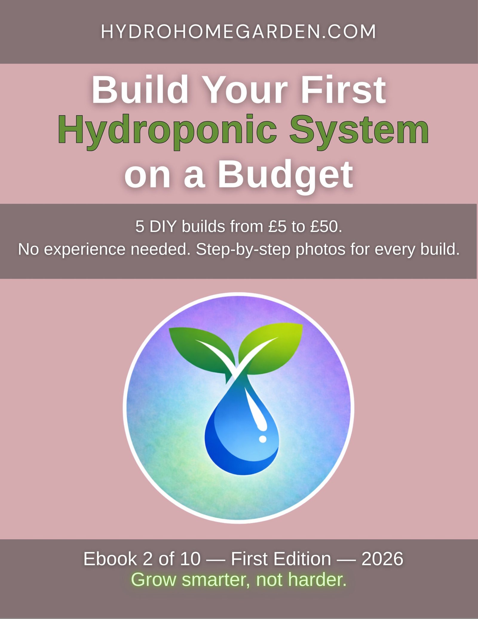 Build Your First Hydroponic System on a Budget ebook cover