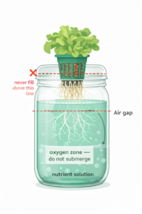 Diagram of Kratky jar showing air gap zone and maximum water refill line with warning not to overfill