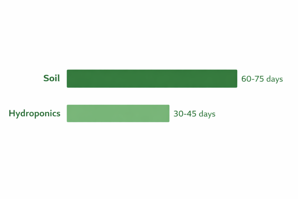 Bar chart comparing lettuce growth time in soil at 60 to 75 days versus hydroponics at 30 to 45 days